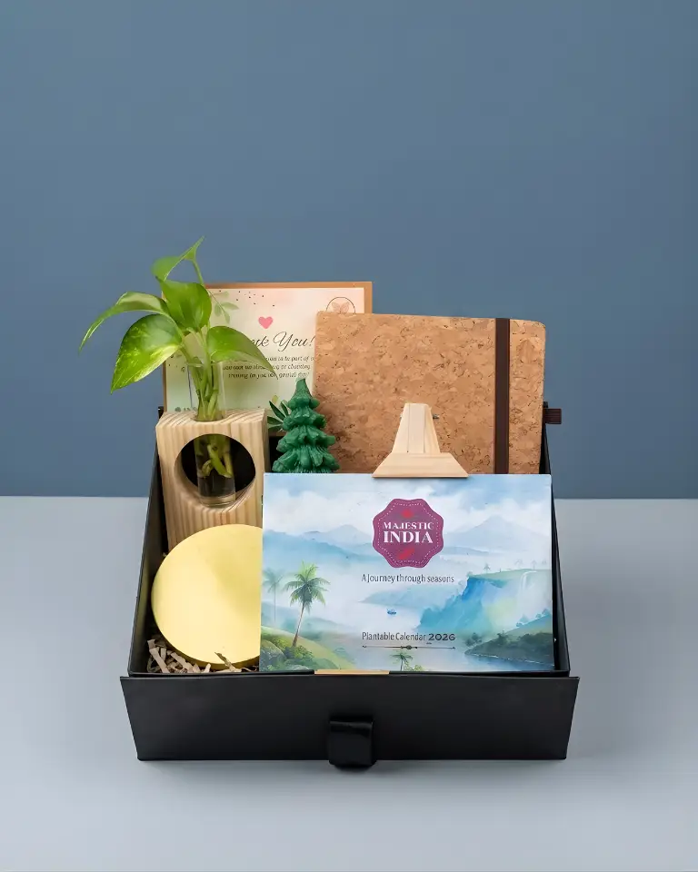 Green Office Starter Box